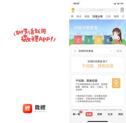 微鲤App上线 垃圾分类 查询功能 共建 互联网 垃圾分类 便民服务